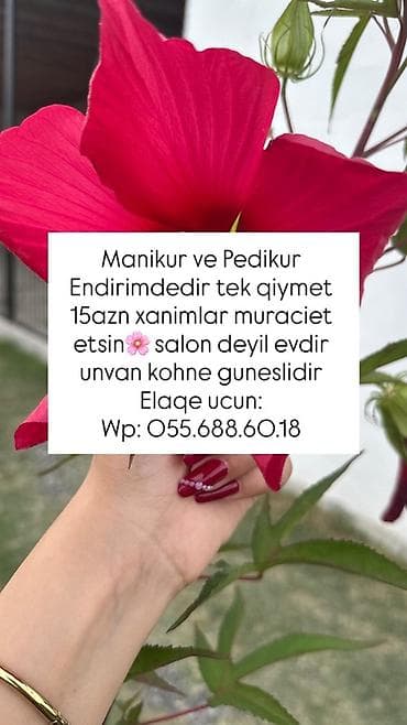 Manikür və pedikür xidməti - Xüsusi endirim: hər biri üçün tək qiymət