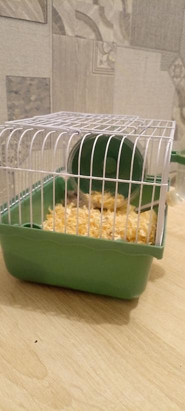Xırda gəmiricilər üçün qəfəs - Material: möhkəm plastik altlıq və ağ