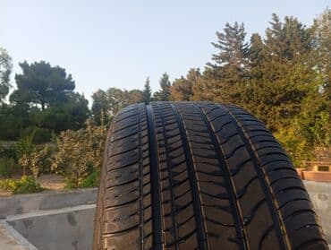 teker alisi: İşlənmiş Şin Annaite 245 / 45 / R 18 — 7
