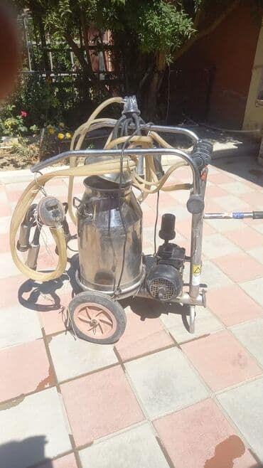 süd sağan maşın: Tək bidon, Paslanmaz bidon — 2