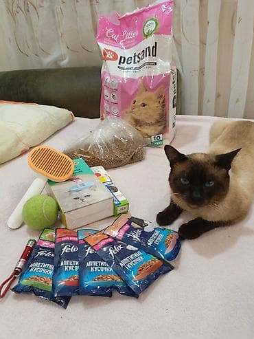 Pişik üçün tam qulluq və əyləncə dəsti Dəstənin tərkibi: - Petsand — 2