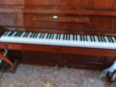 Velosiped ehtiyyat hissələri: Piano, Akustik — 4