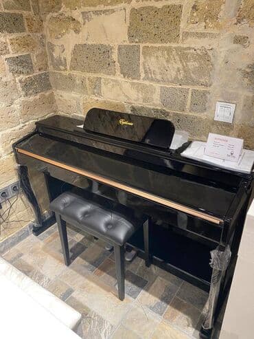 pianinolar: Çox sevilən Euphonia elektron pianoları! Çəkiç mexanizmini imitasiya — 1