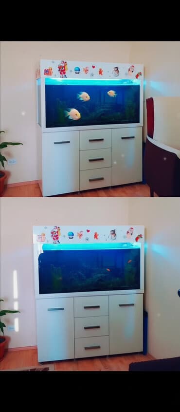 balıq haqqında melumat: Akvarium-şkaf, Balıqlarla birlikdə, 600 l, Ünvandan götürmə — 2