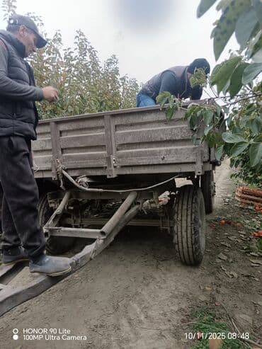 ot biçən traktor: Mavi rəngli təkərli kənd təsərrüfatı traktoru - Universal kabinəli — 6