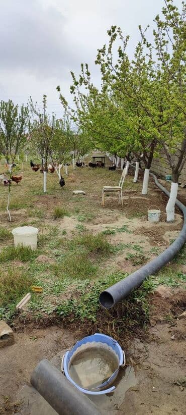 türkanda torpaq: 15 sot, Tikinti, Makler, Bələdiyyə, Kupça (Çıxarış) — 7