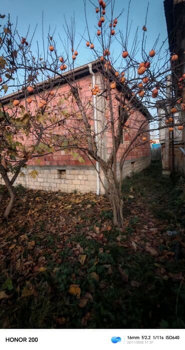 kiraye evler ucuz 2023: Satılır: yarımçıq tikili həyət evi - Divarlar: keramzit/kərpic — 3