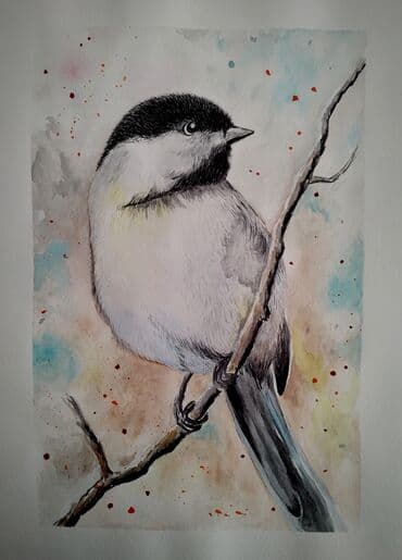 Şəkil və rəsmlər üçün çərçivələr: Salam. Gördüyünüz şəkillər hamısı öz əl işlərimdir və satışdadır — 8