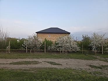 atciliqda satilan evler: Ağ çiçəklərlə bol-bol açan meyvə ağacları – bağ salmaq və ya landşaft — 3