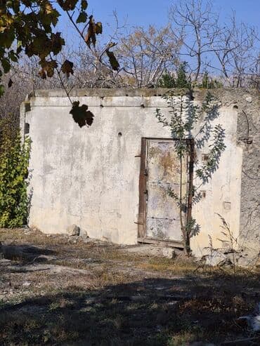 Qarajlar: 8 sot, Mülkiyyətçi, Kupça (Çıxarış), Texniki pasport — 3