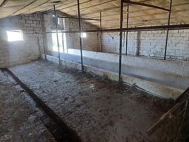 arenda donər evi: Mal-qaranın saxlanması üçün hazır ferma/binə kompleksi - Daş divarlı — 2