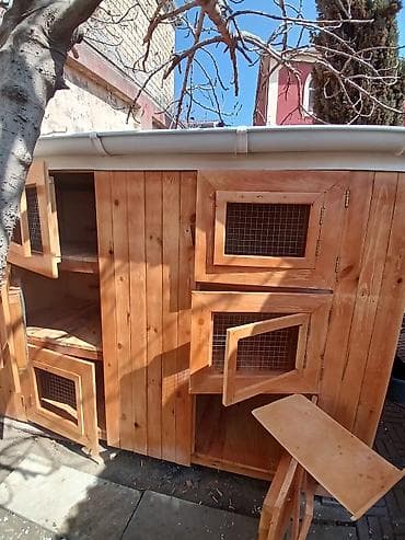 ekran ucun pisik sekilleri: Taxta quşxana / toyuq damı matryal sizden duzeltmey bizden zehmet haki — 5