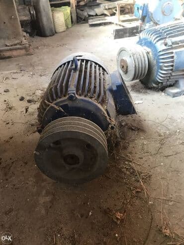 kala bitkisi haqqinda melumat: Salam aleykum. 3 kv dan 320 kv ya kimi elektrik matorlar təmir olunur — 2