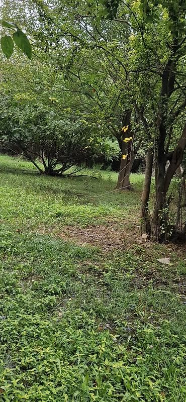 qebelede heyet evleri satilir: 85 sot, Kənd təsərrüfatı, Mülkiyyətçi, Kupça (Çıxarış) — 8