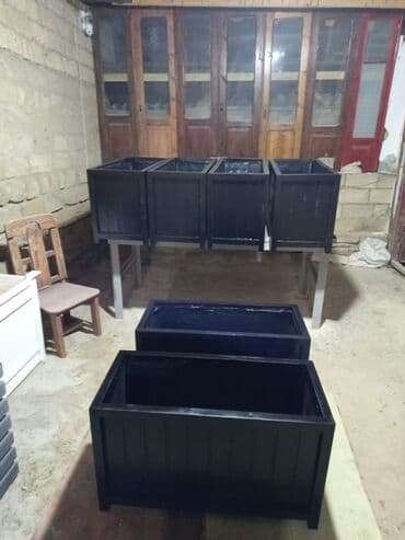 meyve agaci: Dibçək sexi. 📍Ünvan : Qala #Dibçək #Dibçək #Güldan #Güldan #Agac — 2