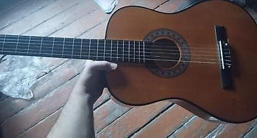 Охота и рыбалка: Классическая гитара, Новый — 2