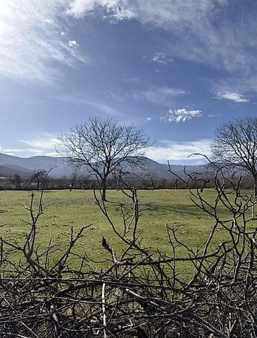 12 sot, Tikinti, Kupça (Çıxarış) lalafo.az -da 12 sot, Tikinti, Kupça (Çıxarış)