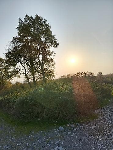 Дачи: 24 соток, Возможен обмен, Купчая — 2