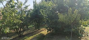 torpaq satşı: Kənd təsərrüfatı — 2