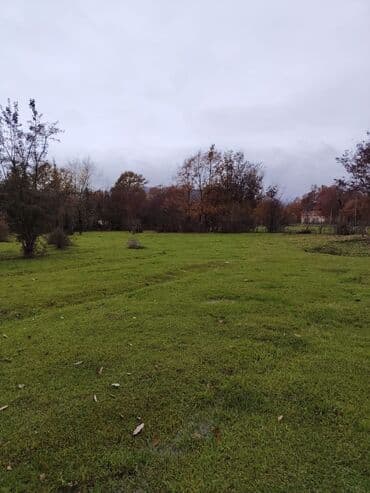 аренда земельных участков сельскохозяйственного назначения: Kənd təsərrüfatı — 6