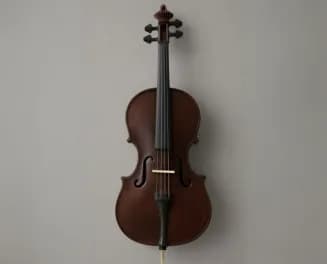 Violonçellər