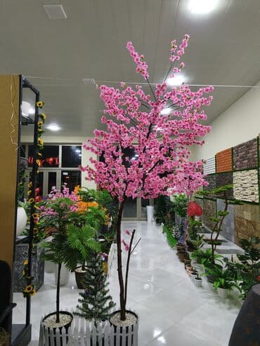 Süni dekorativ Sakura ağacı - Hündürlük: təxminən 2,2–2,5 m - lalafo.az -da Süni dekorativ Sakura ağacı - Hündürlük: təxminən 2,2–2,5 m -