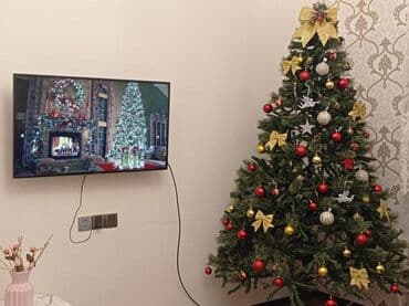 Böyük ölçülü süni Yeni il ağacı –2.10sm. (oyuncaqlar daxil deyil)Evi lalafo.az -da Böyük ölçülü süni Yeni il ağacı –2.10sm. (oyuncaqlar daxil deyil)Evi