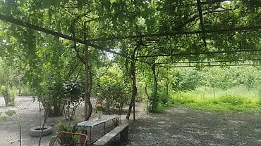 3 otaqlı, 100 kv. m, Kredit yoxdur, Orta təmir lalafo.az -da 3 otaqlı, 100 kv. m, Kredit yoxdur, Orta təmir