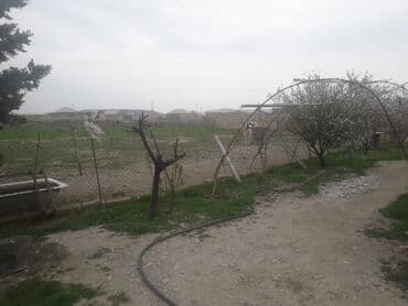 42 sot, Kənd təsərrüfatı lalafo.az -da 42 sot, Kənd təsərrüfatı