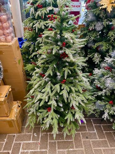 Zontik yolka 701 teze mallar 120 sm 70 man 150 sm 105 man 180 sm 130 lalafo.az -da Zontik yolka 701 teze mallar 120 sm 70 man 150 sm 105 man 180 sm 130