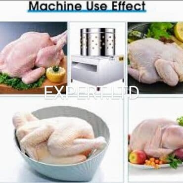 ПО для бизнеса: Toyuq-kəklik-qırqovul-bildirçin- ördək-tüklərin təmizləyib yuyan at lalafo.az — 1 ПО для бизнеса: Toyuq-kəklik-qırqovul-bildirçin- ördək-tüklərin təmizləyib yuyan — 1