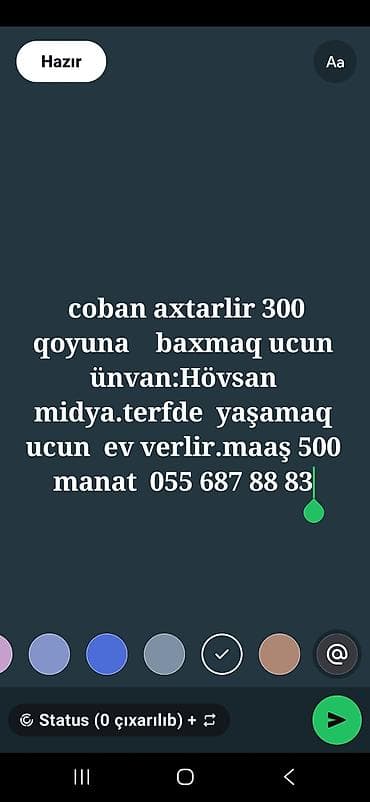 Vakansiya: Çoban - 300 baş qoyuna baxmaq üçün çoban tələb olunur - lalafo.az -da Vakansiya: Çoban - 300 baş qoyuna baxmaq üçün çoban tələb olunur -