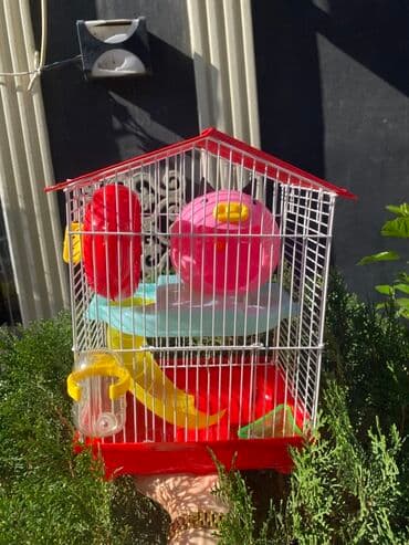 Xamyak üçün tam təchizatlı qəfəs dəstləri - Müxtəlif rənglər lalafo.az -da Xamyak üçün tam təchizatlı qəfəs dəstləri - Müxtəlif rənglər