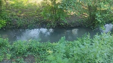 30 sot, Tikinti, Mülkiyyətçi, Kupça (Çıxarış) lalafo.az -da 30 sot, Tikinti, Mülkiyyətçi, Kupça (Çıxarış)