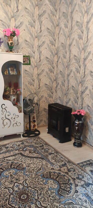 Brilliance: Həyət daxili qapı və giriş komplekti - Material: metal qapı, üzərində lalafo.az -da — 6 Brilliance: Həyət daxili qapı və giriş komplekti - Material: metal qapı, üzərində — 6