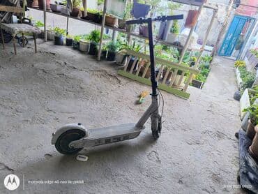 Salam tecili satilr orjinal di ninebot g30 max 339azn Hec bir problemi lalafo.az -da Salam tecili satilr orjinal di ninebot g30 max 339azn Hec bir problemi