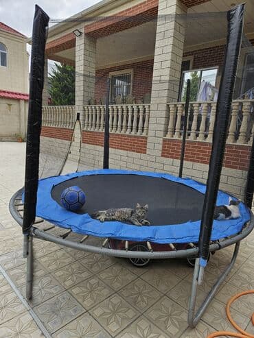 Bağ üçün dairəvi trampoline - Təhlükəsizlik toru ilə: ətrafı tam lalafo.az -da Bağ üçün dairəvi trampoline - Təhlükəsizlik toru ilə: ətrafı tam