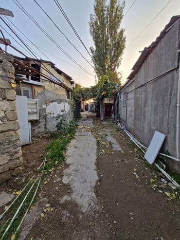 Kirayə verilir. Ünvan: Yasamal, "Kaktus" adlanan ərazidə Qaz, Su lalafo.az -da Kirayə verilir. Ünvan: Yasamal, "Kaktus" adlanan ərazidə Qaz, Su