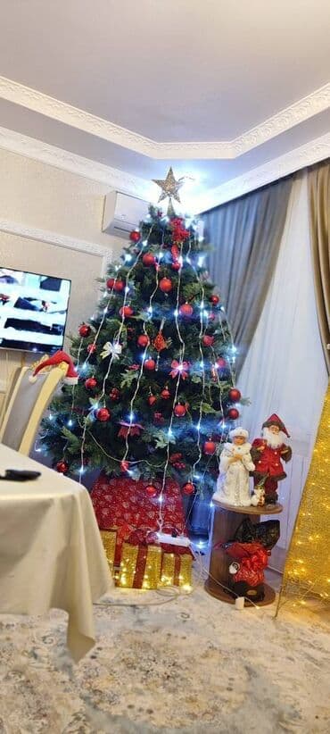 İdeal vəziyyətdədir. 3 şam ağacının qarışıqıdır. Bəzəklər ilə lalafo.az -da İdeal vəziyyətdədir. 3 şam ağacının qarışıqıdır. Bəzəklər ilə