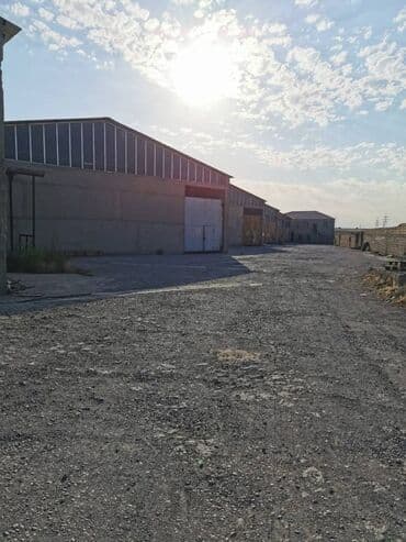 бесплатные стрижки бишкек: Təsərrüfatınızın və malınızın etibarlı saxlanması üçün anbar və ya at lalafo.az — 5 бесплатные стрижки бишкек: Təsərrüfatınızın və malınızın etibarlı saxlanması üçün anbar və ya — 5