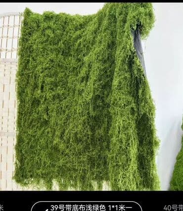 Bitki dərmanları: Məhsul: Təbiətvi̇ zolaqlı yosun/mahov örtüyü – hazır plitələr Təsvir lalafo.az -da — 7 Bitki dərmanları: Məhsul: Təbiətvi̇ zolaqlı yosun/mahov örtüyü – hazır plitələr Təsvir — 7