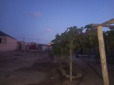 6 sot lalafo.az -da 6 sot