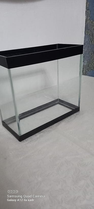 Salam akvariumun ölçüləri uzunu 30 sm . hündürü 26 sm . eni 15 sm lalafo.az -da Salam akvariumun ölçüləri uzunu 30 sm . hündürü 26 sm . eni 15 sm