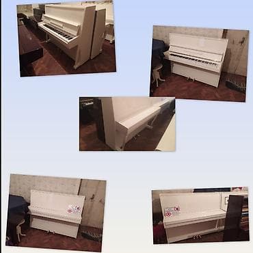 Piano, Belarus, Akustik, Yeni, Pulsuz çatdırılma lalafo.az -da Piano, Belarus, Akustik, Yeni, Pulsuz çatdırılma