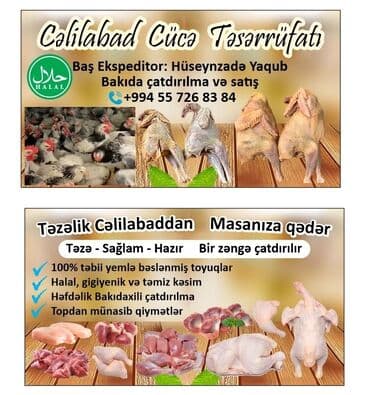 Cəlilabaddan Kənd Çolpaları. Ayaqları sarı. Hərəkətdə olan həyətyanı lalafo.az -da Cəlilabaddan Kənd Çolpaları. Ayaqları sarı. Hərəkətdə olan həyətyanı