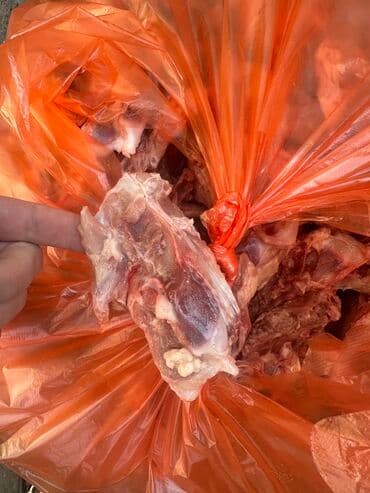 Salam ✅Heyvanlar üçün nəzərdə tutulub satılır, ❌İnsan qi̇dasi dei̇l!! lalafo.az -da Salam ✅Heyvanlar üçün nəzərdə tutulub satılır, ❌İnsan qi̇dasi dei̇l!!