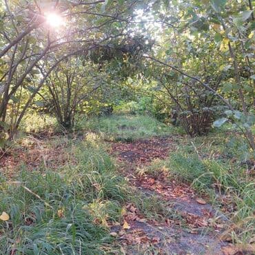 Гаражи: 12 соток, Для строительства, Собственник, Купчая at lalafo.az — 4 Гаражи: 12 соток, Для строительства, Собственник, Купчая — 4