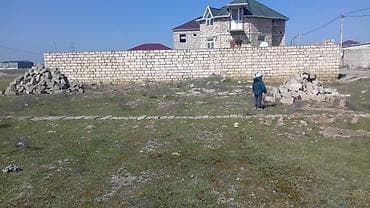 3 sot, Kənd təsərrüfatı, Mülkiyyətçi, Kupça (Çıxarış) lalafo.az -da 3 sot, Kənd təsərrüfatı, Mülkiyyətçi, Kupça (Çıxarış)