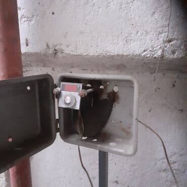 Qayçılar: Avtoklav konservi ucun baseti toyuq, baliq .murebbe vesair lalafo.az -da — 3 Qayçılar: Avtoklav konservi ucun baseti toyuq, baliq .murebbe vesair — 3