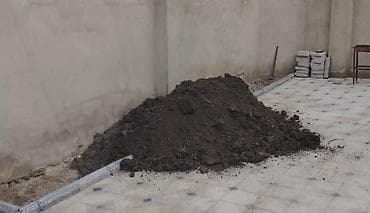 Qara torpaq mehdibad şamaxı İsmayıllı əhatəsindən gətirilir lalafo.az -da Qara torpaq mehdibad şamaxı İsmayıllı əhatəsindən gətirilir